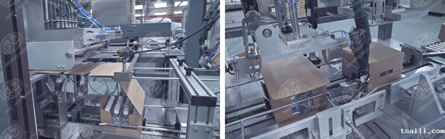 全自动一片式装箱机-5